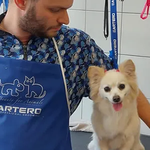 Experiencia Groomer