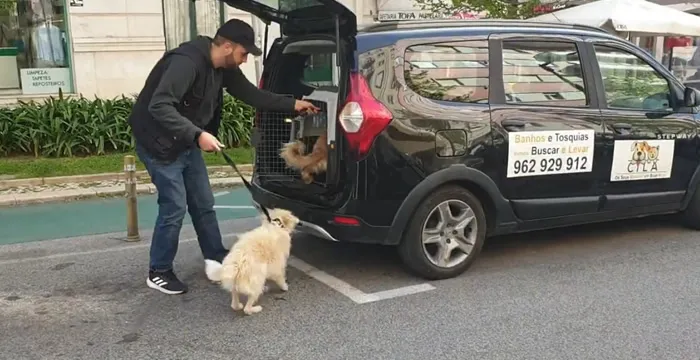 Vamos Buscar e Levar em Lisboa