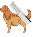 Package