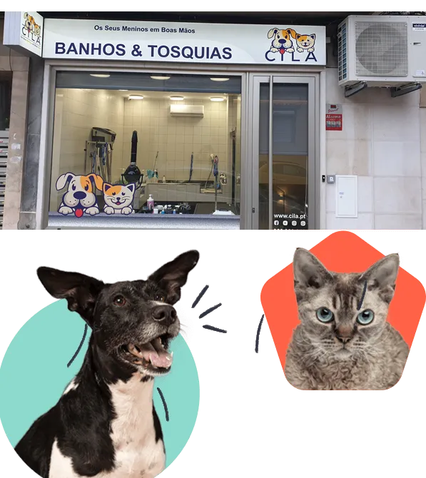 Cila Banhos e Tosquias