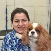 Groomer CIla Banhos e Tosquias