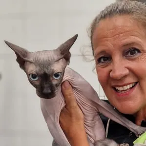 bBanhos e Tosquias Gatos em lsboa
