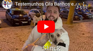 testemunhos Banhos e Tosquias